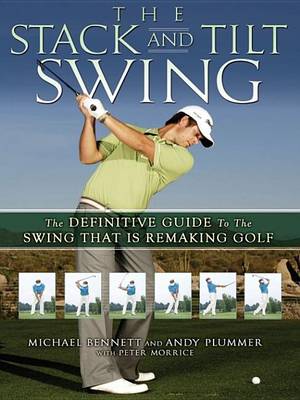Book cover for The Stack and Tilt Swing