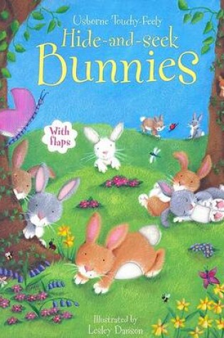 Cover of Hide-And-Seek Bunnies