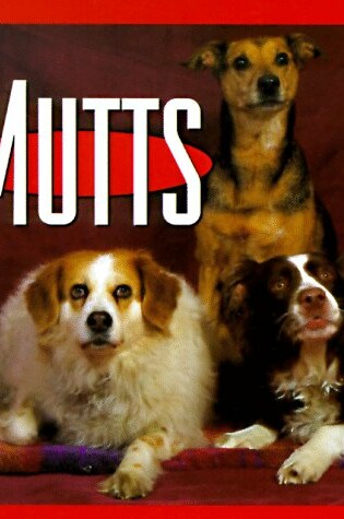 Cover of Mutts