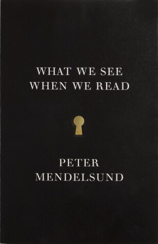Book cover for What We See When We Read