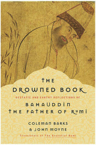 Cover of The Drowned Book