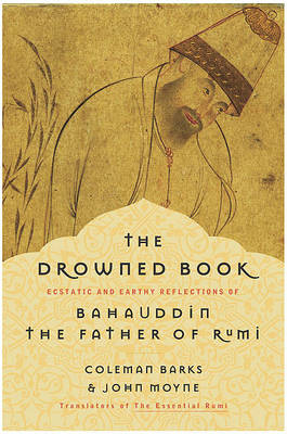 Book cover for The Drowned Book