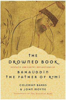 Cover of The Drowned Book