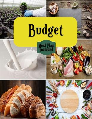 Book cover for Budget