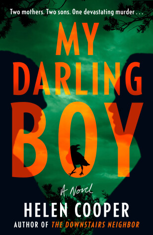 Book cover for My Darling Boy