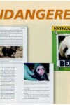 Book cover for Animales de Las Planicies (Plains Animals)