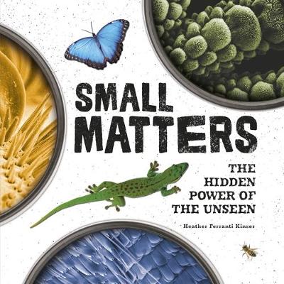 Book cover for Small Matters