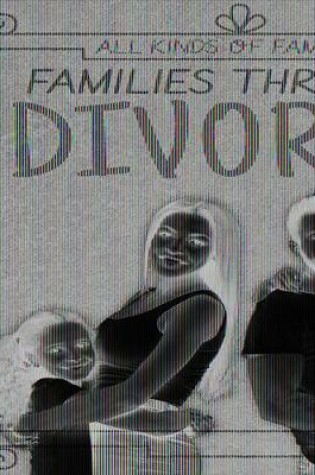 Cover of Families Through Divorce