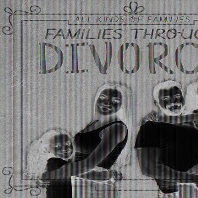 Book cover for Families Through Divorce