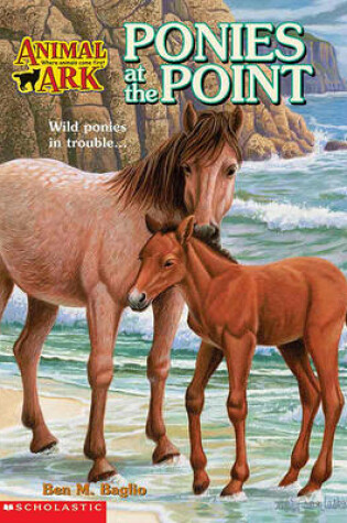 Cover of Ponies at the Point