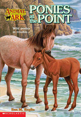 Book cover for Ponies at the Point