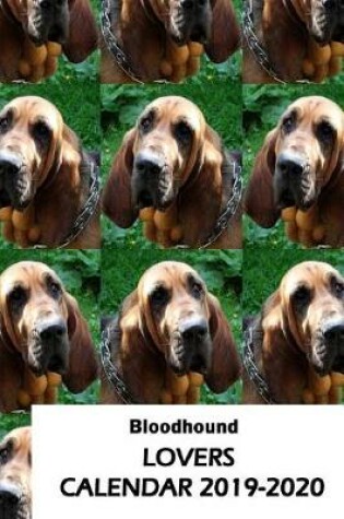 Cover of Bloodhound Lovers Calendar 2019-2020