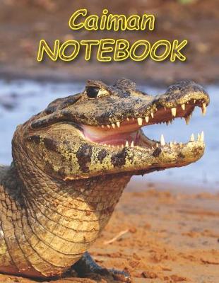 Book cover for Caiman NOTEBOOK