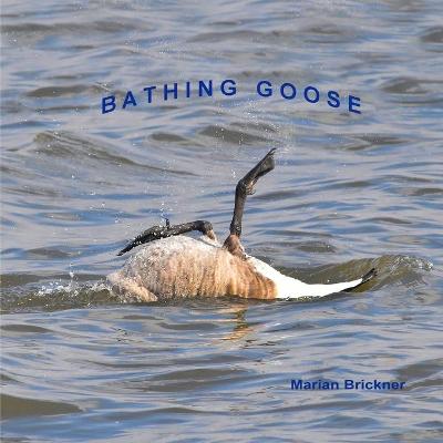 Book cover for Bathing Goose