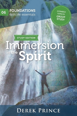 Book cover for Immersion in the Spirit - Group Study