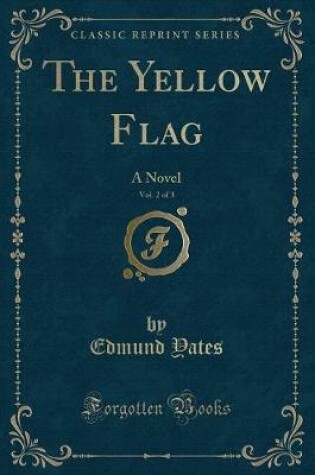 Cover of The Yellow Flag, Vol. 2 of 3