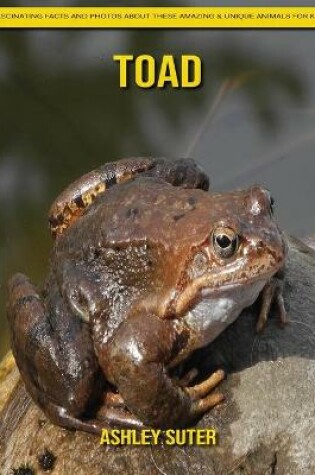 Cover of Toad