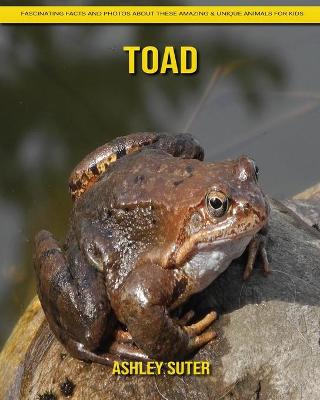 Book cover for Toad