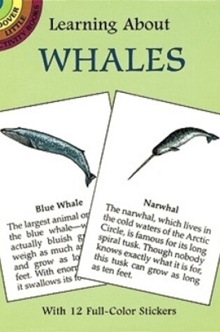 Cover of Learning About Whales