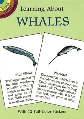 Book cover for Learning About Whales