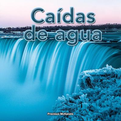 Book cover for Ca�das de Agua