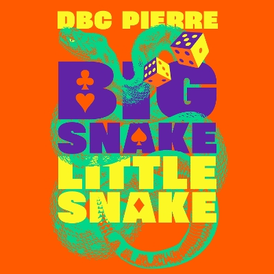 Book cover for Big Snake Little Snake