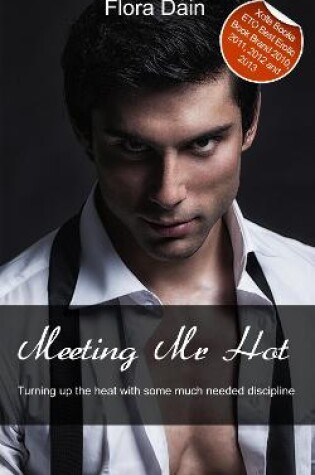 Cover of Meeting Mr Hot