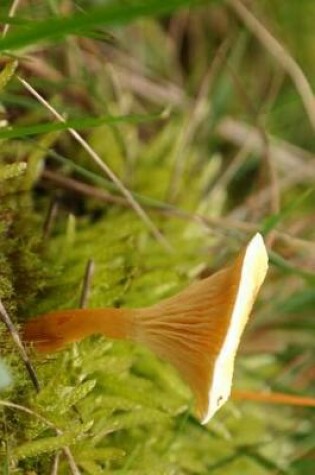 Cover of False Chanterelle Mushroom Journal