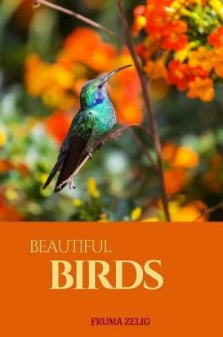 Cover of Beautiful Birds