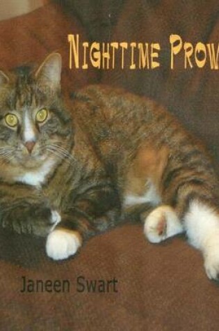 Cover of Nighttime Prowler