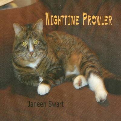 Book cover for Nighttime Prowler