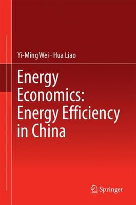 Book cover for Energy Economics: Energy Efficiency in China