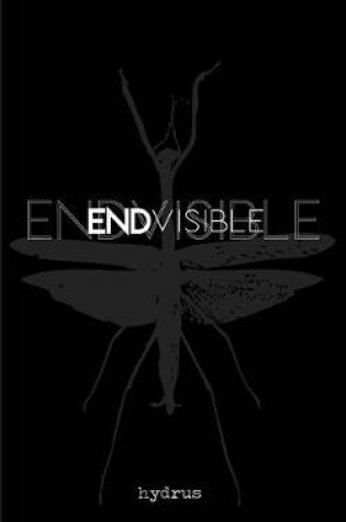 Cover of Endvisible