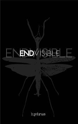 Book cover for Endvisible