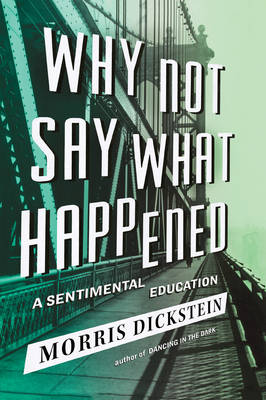 Book cover for Why Not Say What Happened