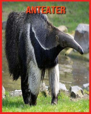 Book cover for Anteater