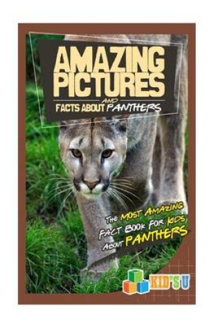 Cover of Amazing Pictures and Facts about Panthers