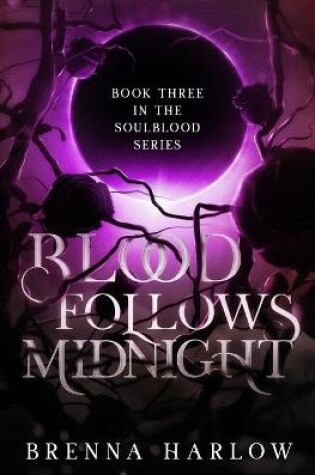 Cover of Blood Follows Midnight