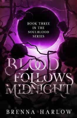 Book cover for Blood Follows Midnight