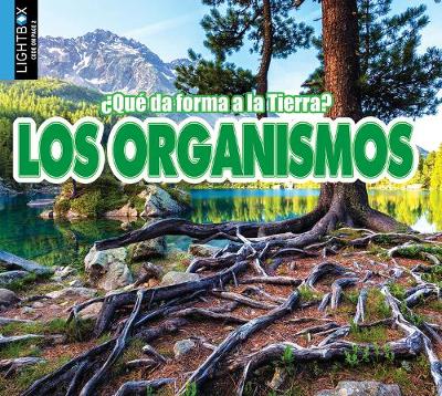 Cover of Los Organismos