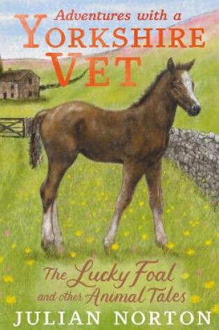 Cover of Adventures with a Yorkshire Vet: The Lucky Foal and Other Animal Tales