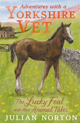 Book cover for Adventures with a Yorkshire Vet: The Lucky Foal and Other Animal Tales