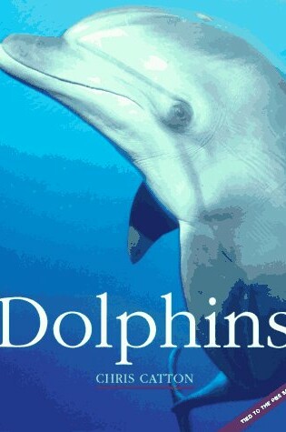 Cover of Dolphins