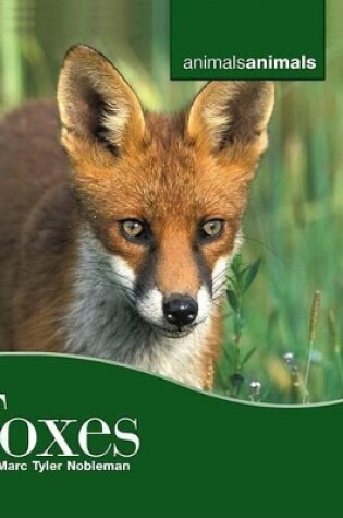 Cover of Foxes