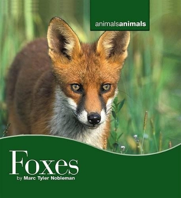 Book cover for Foxes