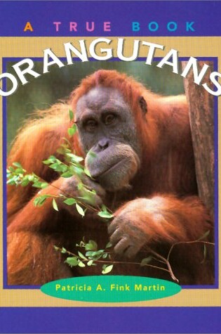 Cover of Orangutans