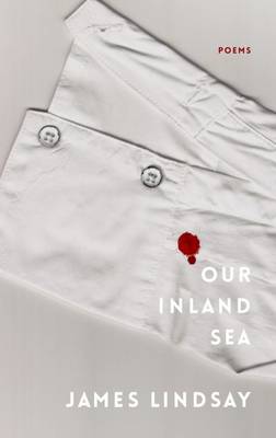 Book cover for Our Inland Sea