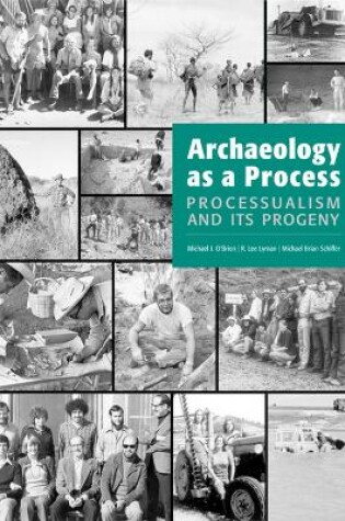Cover of Archaeology as a Process