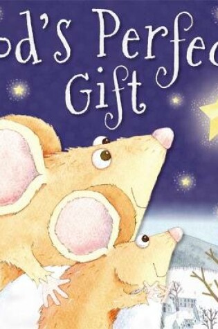 Cover of Story Book God's Perfect Gift
