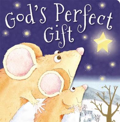 Book cover for Story Book God's Perfect Gift